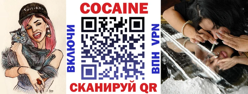 КОКАИН FishScale  купить наркотики сайты  Новоалтайск 