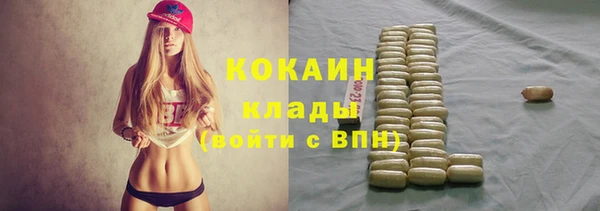 дмт Алексин
