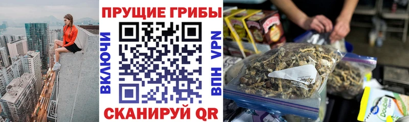 Галлюциногенные грибы GOLDEN TEACHER  Новоалтайск 