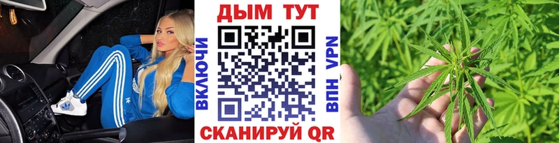 как найти закладки  Новоалтайск  Шишки марихуана план 